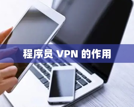程序员 VPN 的作用