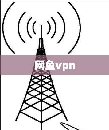 网鱼vpn