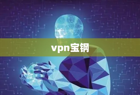 vpn宝钢