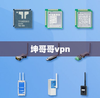 坤哥哥vpn
