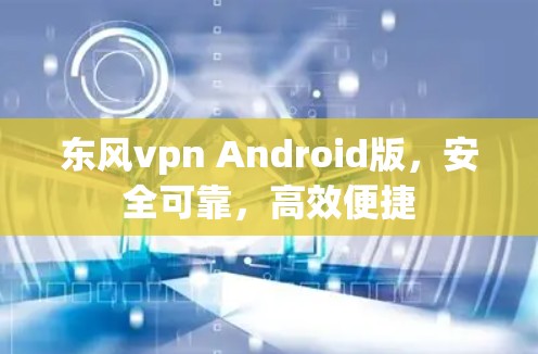 东风vpn Android版，安全可靠，高效便捷