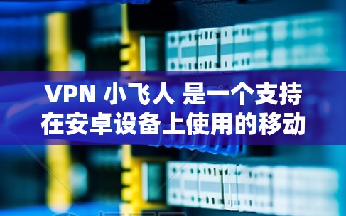 VPN 小飞人 是一个支持在安卓设备上使用的移动VPN服务。它提供多种VPN功能，包括流媒体、视频流、游戏下载等。小飞人 的目标是通过移动设备提供优质、安全的VPN服务，让用户能够轻松地进行网络访问