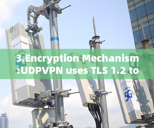 3.Encryption Mechanism:UDPVPN uses TLS 1.2 to encrypt data.This involves: