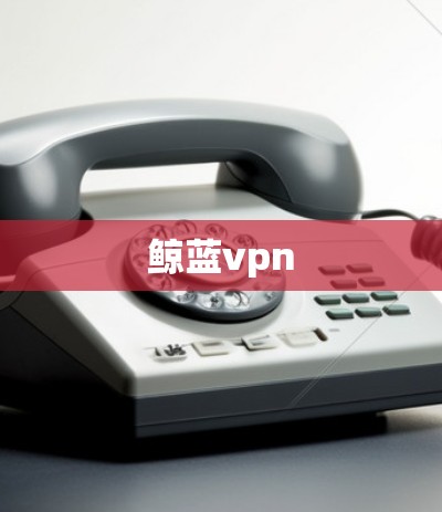 鲸蓝vpn