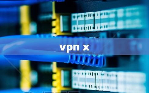 vpn x