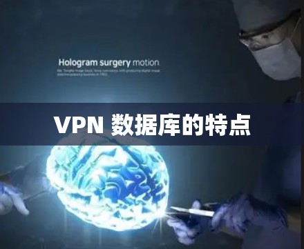 VPN 数据库的特点