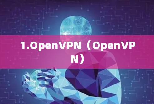 1.OpenVPN（OpenVPN）