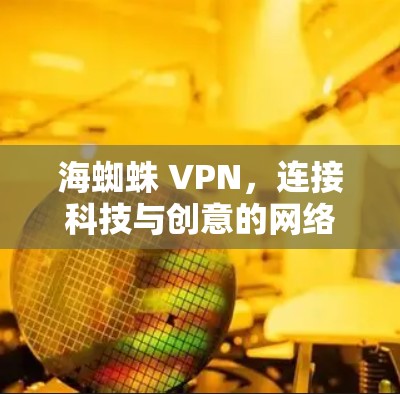 海蜘蛛 VPN,连接科技与创意的网络服务 海蜘蛛 VPN,连接科技与创意的网络服务