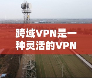 跨域VPN是一种灵活的VPN技术，允许用户在不同网络上访问内容，结合了加密技术和管理工具，提供了更高的安全性。以下是对跨域VPN的详细介绍