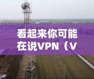 看起来你可能在说VPN（Virtual Private Network，虚拟私 nets）这是一种用于访问外部互联网的软件。VPN可以帮助你从国内的网络设备访问国外的网络服务